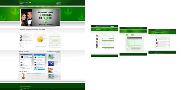Customización_1