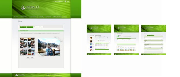 Customización_3