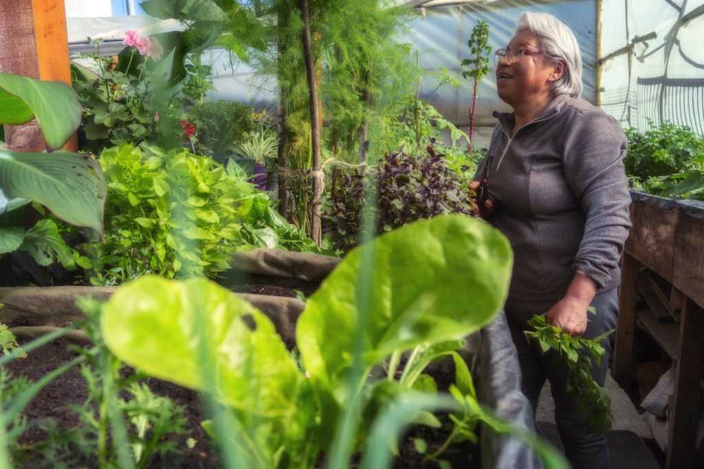Huerta Santa Helena